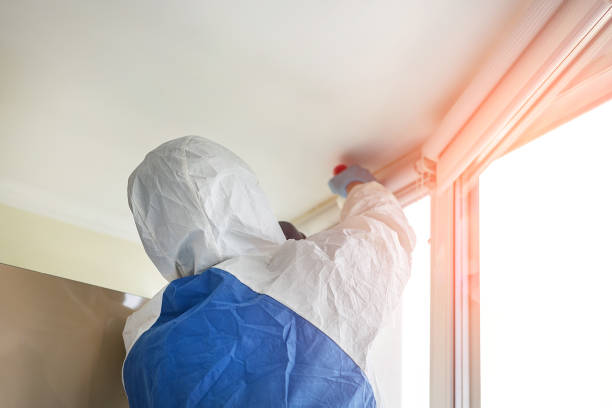 Best Asbestos and Lead Testing During Mold Inspection  in Maria Stein, OH