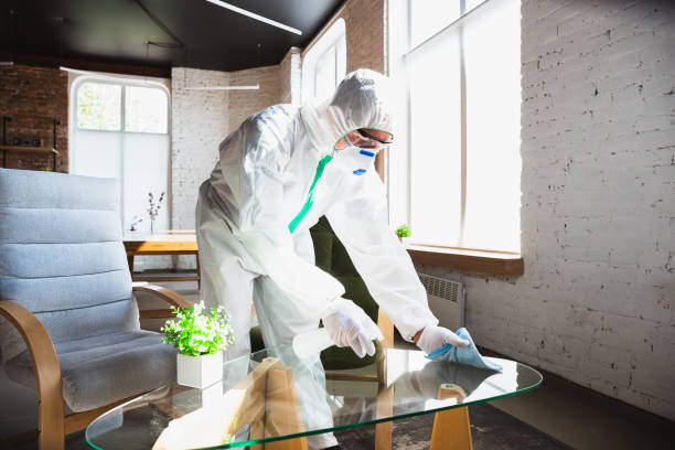 Professional Mold Removal Services in Maria Stein, OH